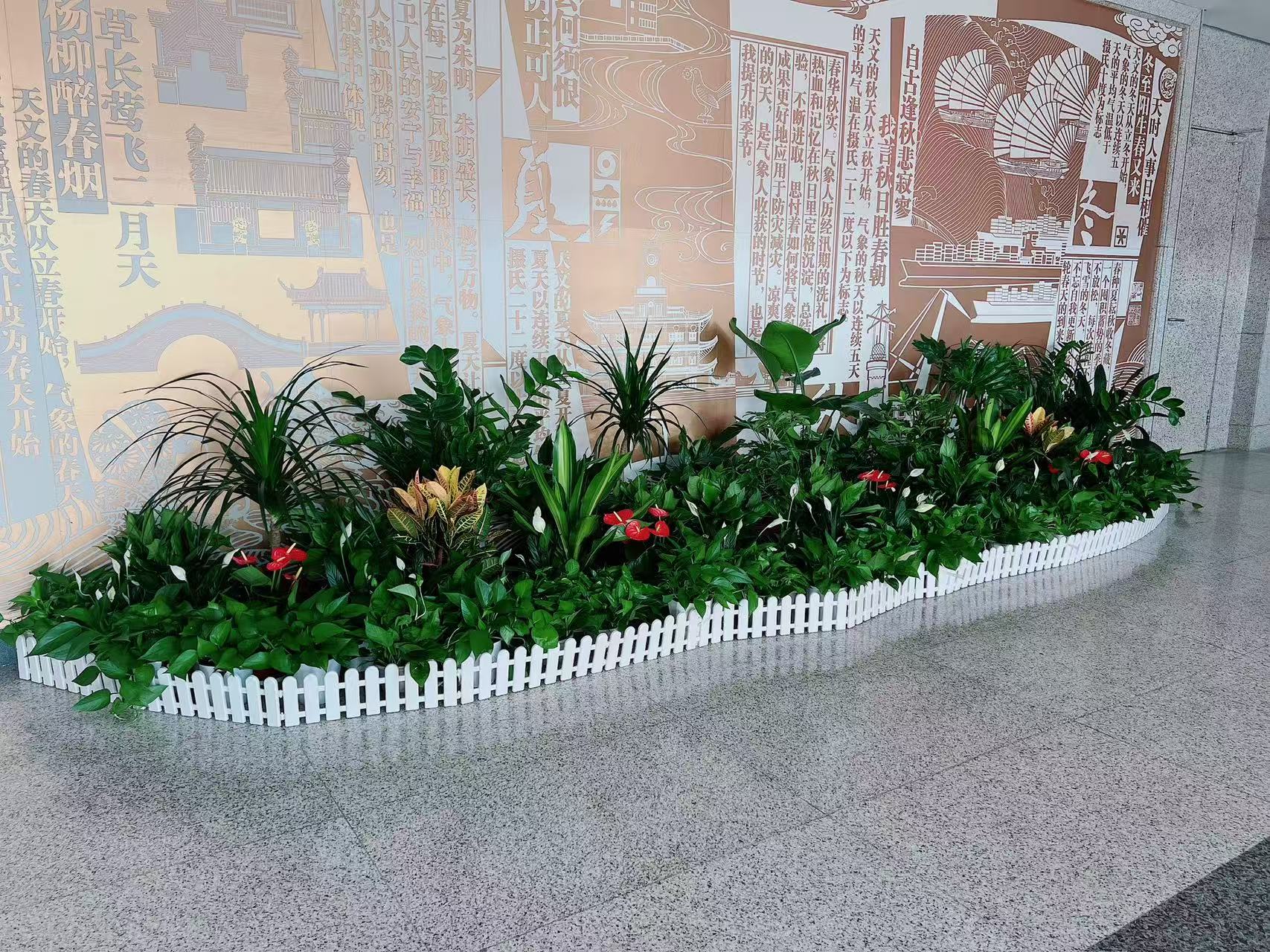 宁波镇海花卉租摆，服务超棒，给你意想不到的惊喜！